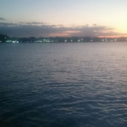 ベイトフィネスメバルプラッギングポンポン