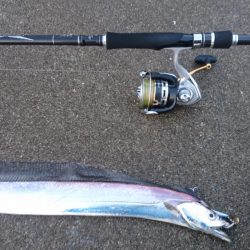 タチウオカッター！