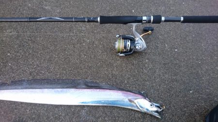 タチウオカッター！