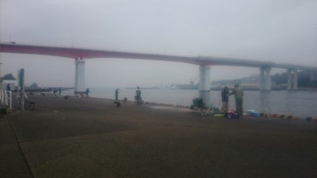 日中のマイクロゲーム