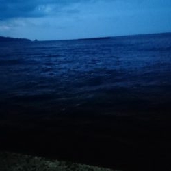 ジグサビキ釣果