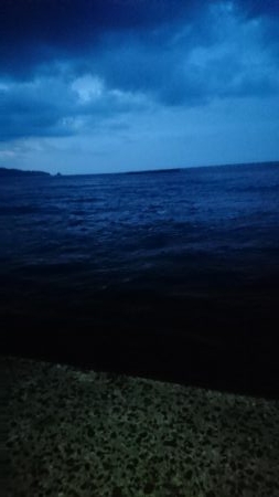 ジグサビキ釣果