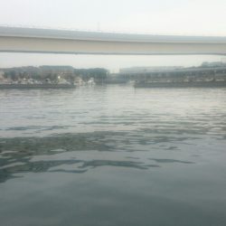 ライトワインド最初からやっておけば。。。