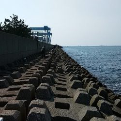 東二見人工島へ落ちギス狙い
