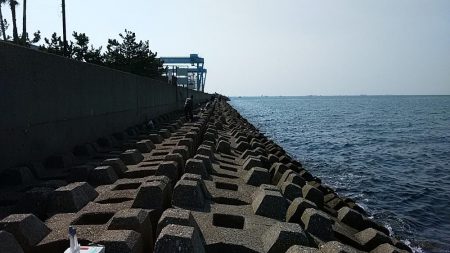 東二見人工島へ落ちギス狙い