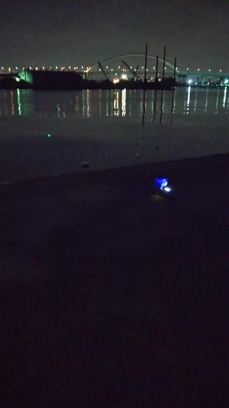 周りは激渋の模様