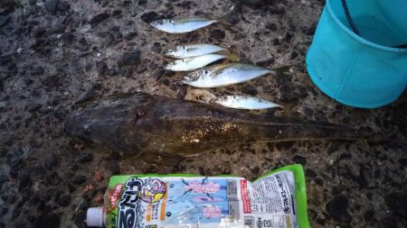 ファミリーフィッシング