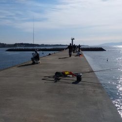 東二見白灯台波止へ落ちギス釣査