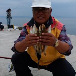 東二見白灯台波止で落ちギス調査