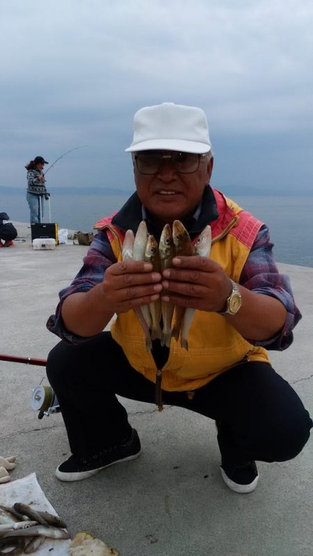 東二見白灯台波止で落ちギス調査