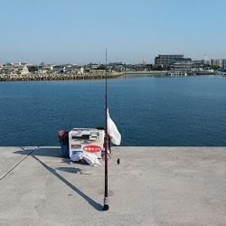 teamゲッソー調査隊