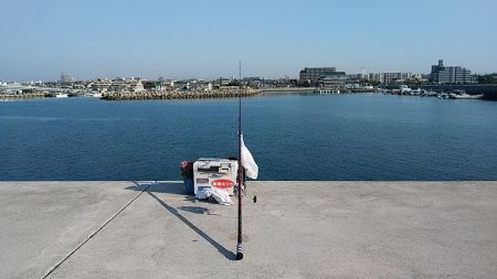 teamゲッソー調査隊