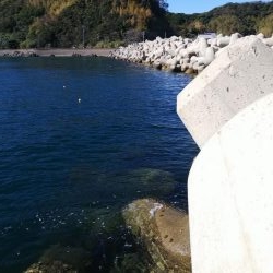 teamゲッソー調査隊