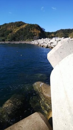 teamゲッソー調査隊