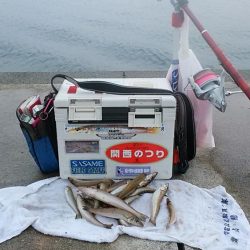 teamゲッソー調査隊