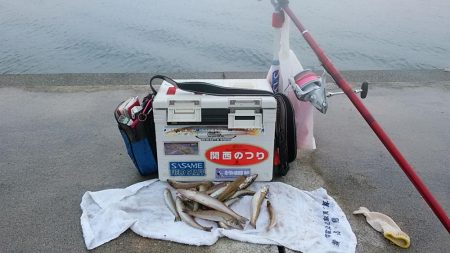 teamゲッソー調査隊