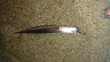 寒くなれば浮き！