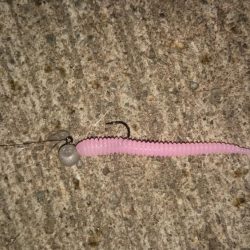 ショートバイト