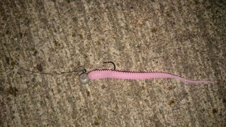 ショートバイト