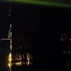 寒かったｶﾞｸｶﾞｸ