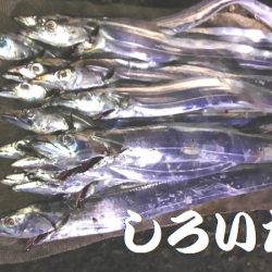 12日の兵庫突提に行ってきました。