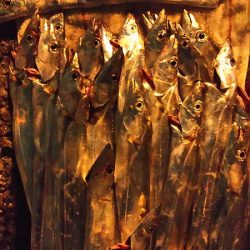 １３日にもタチウオ釣りました。