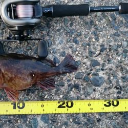 デイアジング&エソング