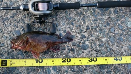 デイアジング&エソング