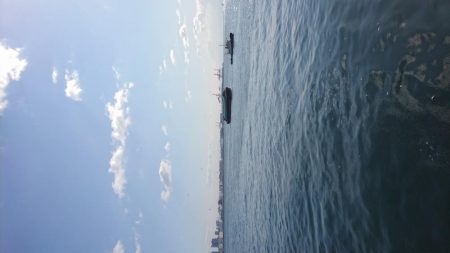 ベイト持ち帰り。