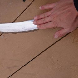 初めての太刀魚