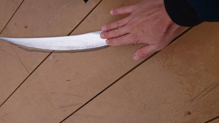 初めての太刀魚