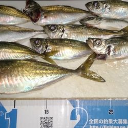 今さらだけど…