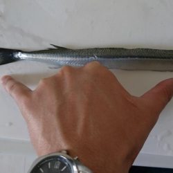 暴風スレ掛かり