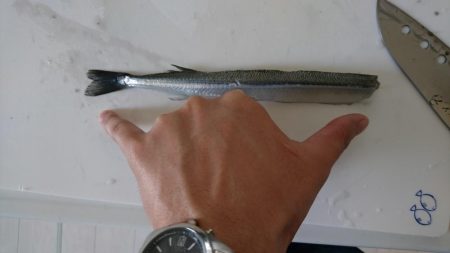 暴風スレ掛かり