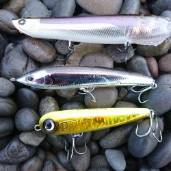 トップでハマチ