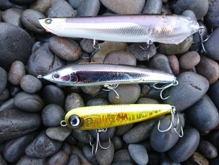 トップでハマチ