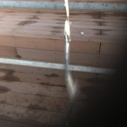 舞洲タチウオ渋い〜