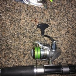 太刀魚すら渋い