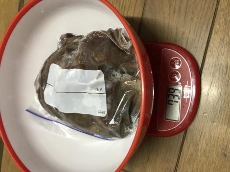 今日もやっぱりタコ!