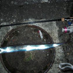 ｻｰﾍﾞﾘﾝｸﾞ