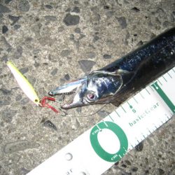 暗闇にょろにょろ