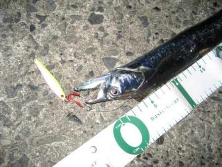 暗闇にょろにょろ