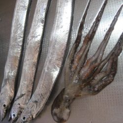 指4本　サイズ上がらず・・・