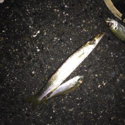 ダイソージグ使ってみた。