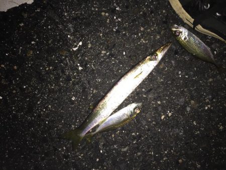 ダイソージグ使ってみた。