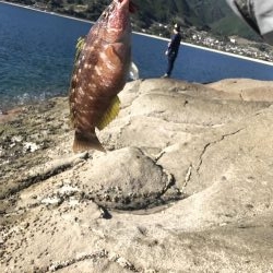 ライトゲーム好調