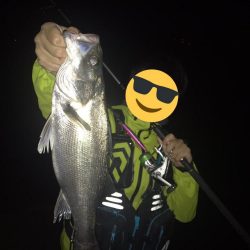 今シーズンラストシーバス？