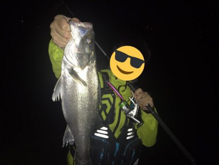 今シーズンラストシーバス？