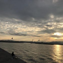 バイブでタチウオ!