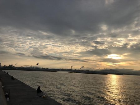 バイブでタチウオ！